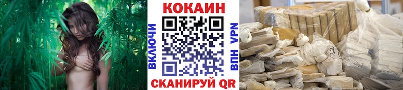 Купить  Яхрома  Cocaine FishScale
