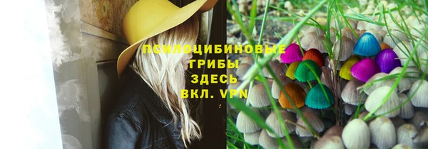 молекула духа Киренск