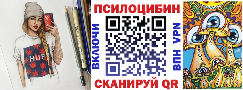 Купить где  Яхрома  Псилоцибиновые грибы Psilocybe 